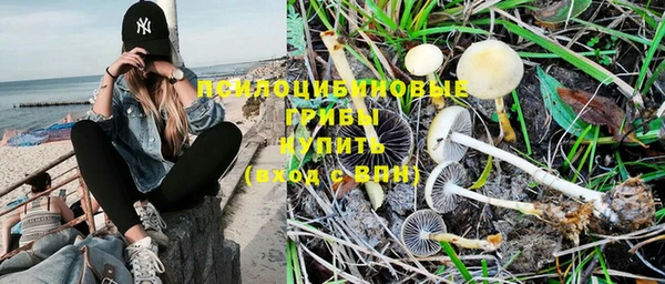 соль курить ск Зеленодольск
