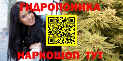 винт Ипатово