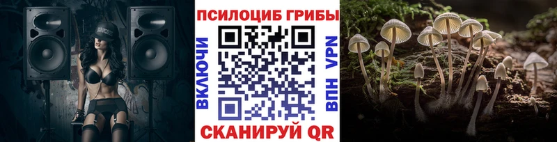 Псилоцибиновые грибы мицелий  Славгород 