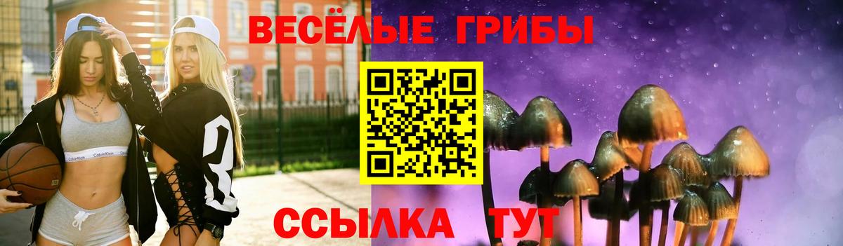 Славгород  Псилоцибиновые грибы мицелий  Вход с VPN  Псилоцибиновые грибы мухоморы 